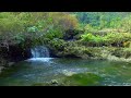 Relaxing Music & Nature Sounds for Stress Relief, Positive Energy, Deep Sleep, and Anxiety Relief