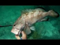 Grand Cay Spearing Go Pro HD