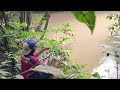 Mancing di sungai yg banjir !! umpan usus ayam