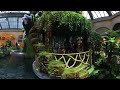 Nature's Extravaganza: Discover Bellagio's Summer Conservatory in 360 Degrees!