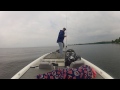 Mille Lacs Smallie on the Drop-Shot!