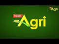 Jathi Kollu, Punjulu Farming | పక్షి రెట్టను బట్టి ఆరోగ్యం, కోడిని బట్టి రేటు అంచనా..! Tone Agri