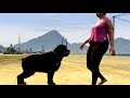 [GTA V] Now or Never Cops: Sandy Shores Episode 1 (5 Minute Preview)