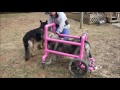 Kimber's Homemade Quadriplegic Cart Instructions