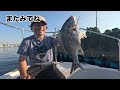 釣りのエサなんて『タフグミ』でいいんだよ【グミで鯛を釣る】