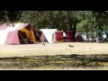 Fast dachshund try to catch a rabbit!!!