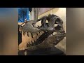 Tyrannosaurus Rex (T. rex) (Open Wounds)