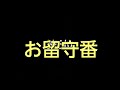 ウサギのパンダさん。ここが可愛い10位～6位。【ミニウサギ生活#186】