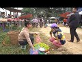 Harvest A Lot Of Green Apple Goes To Market Sell - Family Farm | Tieu Toan New Life