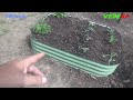 VEGEGA 11'' Tall 6.5'x2' Metal Raised Garden Beds (6 in 1) Product Review | Heirloom Reviews