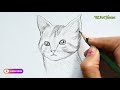 How To Draw A Cat Face Easy Step By Step 🐱