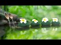 Relaxing music with the sounds of nature Bamboo Water Fountain [Healing music BGM]