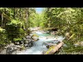Turquoise Creek | 10 Hr | Sounds For Sleep Study Focus And Relaxation