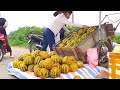 VIDEO FULL: How to harvest Cucumber, Melon , Pineapple , Carrots Garden and go to the market sell