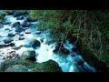 Mountain Stream Forest Sounds, White Noise, River Sounds to Sleep or Relax, meditation
