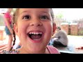 OLD FOOTAGE: Playground Set For The Grandkids