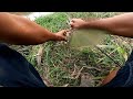 Mancing Di Sungai Buaya,Umpan Soft Frog Yang Bagus