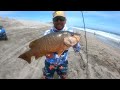 PESCA de PARGOS GRANDES en la ORILLA de la PLAYA || pescando en LA PAZ BCS.