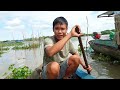 Mắm cá linh cặp gỏi tôm bông bần, cá he vàng kho lạt | cuộc sống và ẩm thực Việt Nam #54
