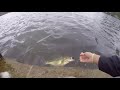 BIG BASS on Megabass Vision 110 Jerkbait