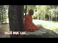 Ngũ dục lạc- Trưởng lão Thích Thông Lạc trực tiếp giảng dạy