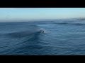 PENSACOLA PIER HURRICANE IDALIA (biggest surf in Pensacola Florida 10+ FT)