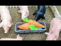 DIY making mini Farm Diorama with House for Cow, Pig - Mini Hand Pump Supply Water for Animal