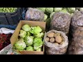 Exploring STRAWBERRY FARM & LA TRINIDAD VEGETABLE TRADING POST in BENGUET PROVINCE,  Philippines