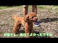 初めてのお泊まり【日光 その2】