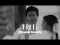 Titli Slowed Reverb from Chennai express (Abhi xpo slowed Reverb)