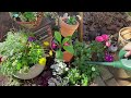 Japanese garden vlog.Introducing Japanese gardens.Japanese flowers
