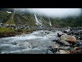 Braveheart Music & Ambience _ Calming Scottish Music with Beautiful Nature in 4K