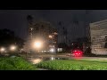 Hurricane Debby Windy Rain Squall Palm Trees St. Petersburg Tampa Bay Florida August 2024