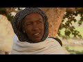 Sacred bees and their honey as a means of livelihood | Master of Bees (Ethiopia)