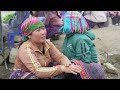 Harvesting Napa Cabbage Garden Goes to market sell - Daily life | Lý Tiểu Anh