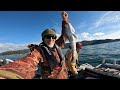 Hunting Fishing Cooking in New Zealand