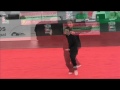 Campeonato Nacional de Wushu Tai Chi 2011 - Portugal