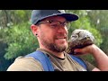 Hunting Gems in a Caldera: Rockhounding Chalcedony Goodness