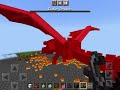 The Ender dragon is invincible