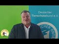 Thomas Schröder appelliert an rumänische Bevölkerung ihre Tiere zu kastrieren - Tierhilfe Hoffnung