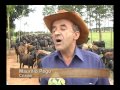 TV do Berro - Custo benefício na criação de ovinos - 22 15 04 07