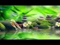 Relaxing Melodies in Harmony With Nature / Soothing Music for Stress Relief, Relaxing, Sleep, Bamboo
