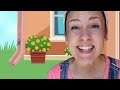 Learning with Ms Rachel | Learn Words and Colors for Toddlers | Educational Kids Videos | Animals