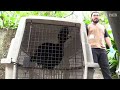 COSTA RICA | Cierran los zoológicos estatales en Costa Rica | EL PAÍS