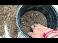Well drained soil mixture