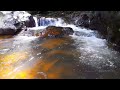 Nature relax videos | waterfall sound | sound of river flow | birds chirping