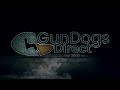 GunDogsDirect.co.uk Intro