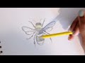 How to Draw a Bee | Easy Art Lesson for Elementary Kids