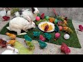 World of cute chicks,Colorful chicks,Ducks,Rabbits,Cute cat,Turtle,Colorful fish,Cute animals,Swans