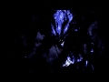 [Request] Anti Nightcore-My Demons